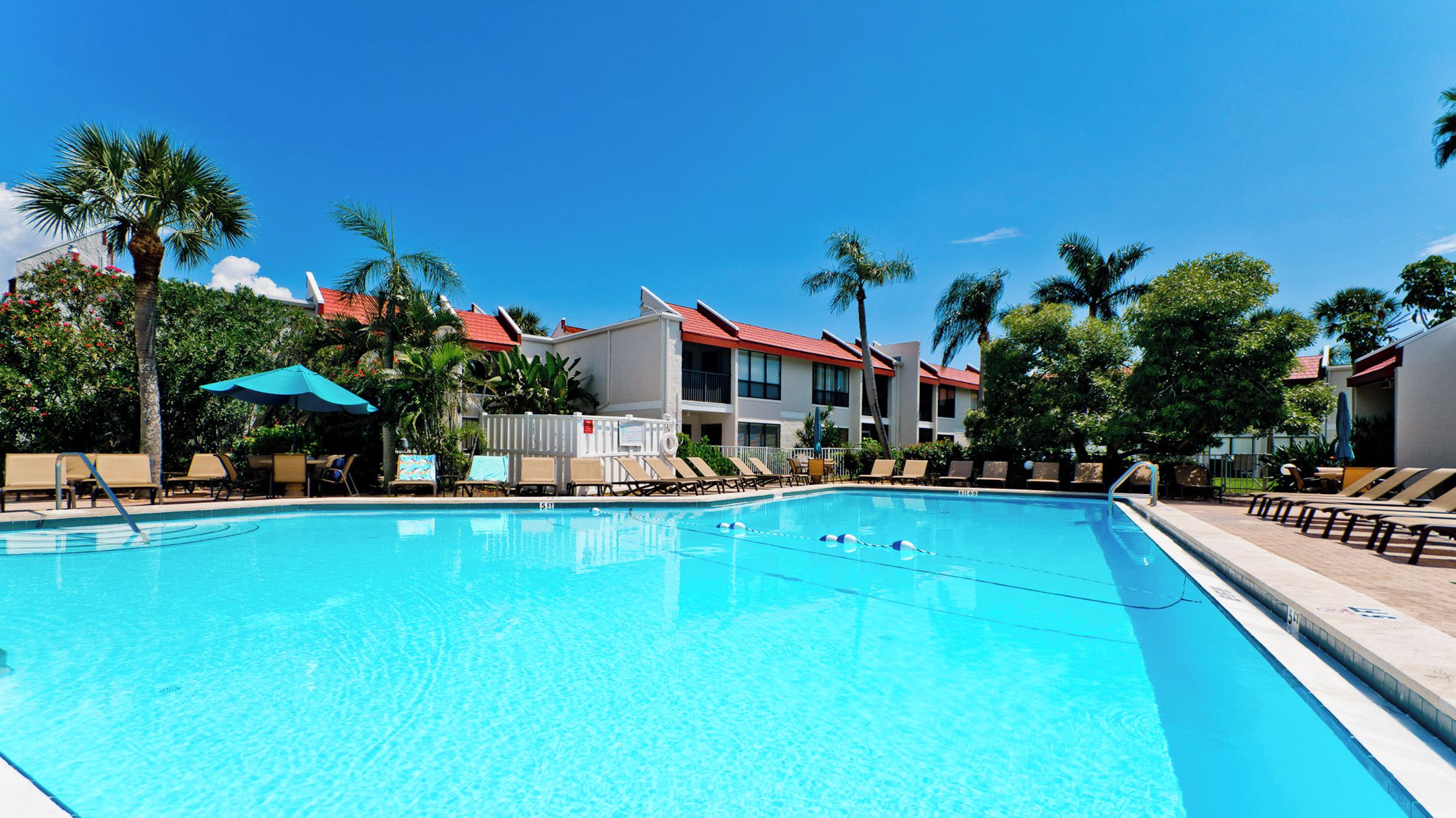 A clear swimming pool with lounge chairs and umbrellas, surrounded by palm trees and buildings with red roofs.