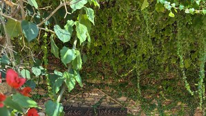 A rustic outdoor area with a stone wall, two old wooden wheels, and a sign reading "Casa do Toboeiro". - Holliday Villa - Casa do Sobreiro (Melres, Gondomar)