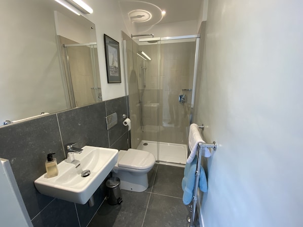 Combined shower/tub, hair dryer, towels, soap