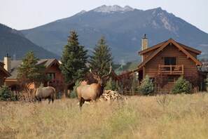 Ein rustikales Lodgehaus mit Bergblick, umgeben von hohen Bäumen und einer Wiese mit Elchen.
