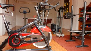 A stationary bike, a weight bench, and a punching bag in a gym. - Casa Arts (Alcaucin)