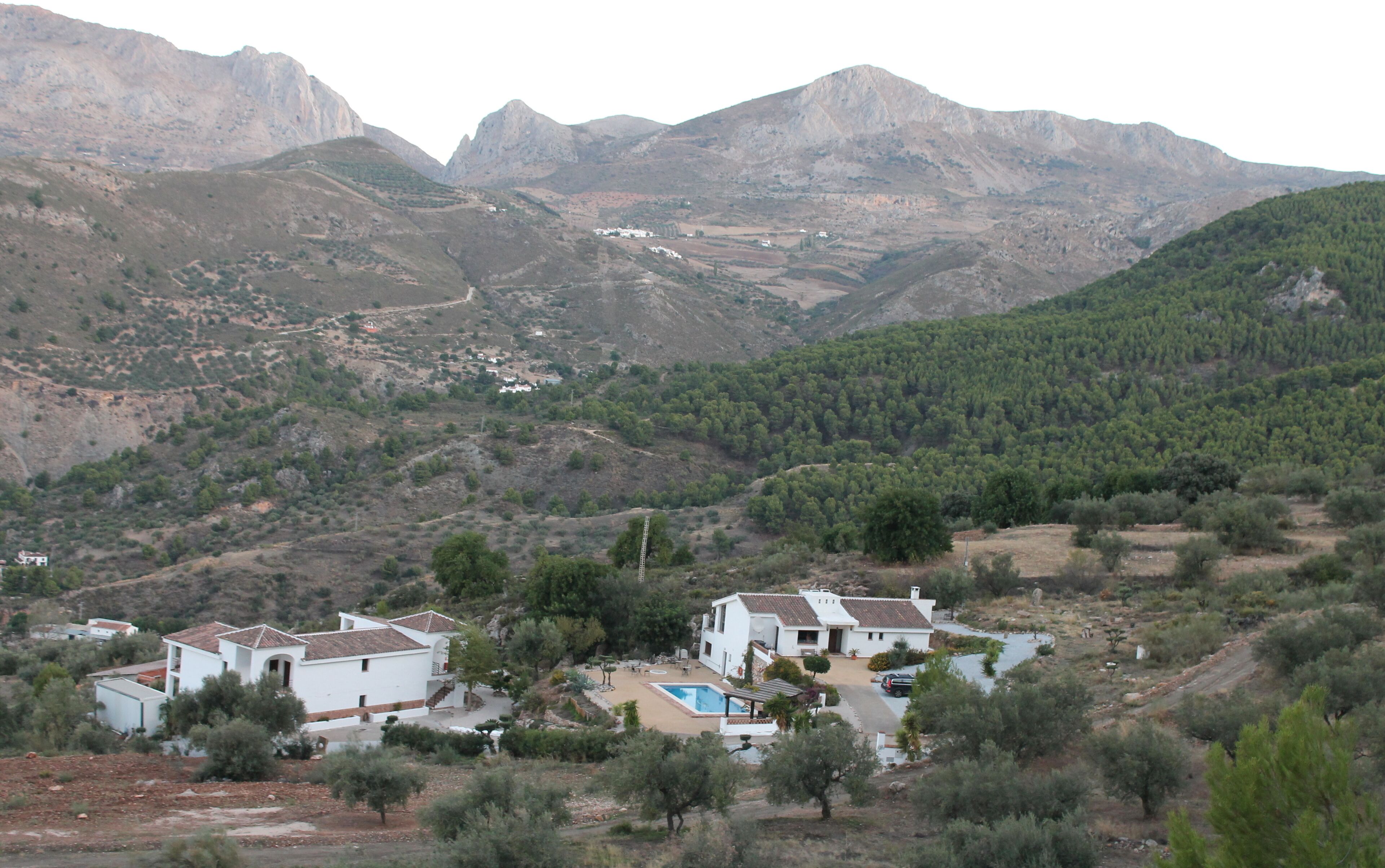 Photo - Casa Arts guest rooms