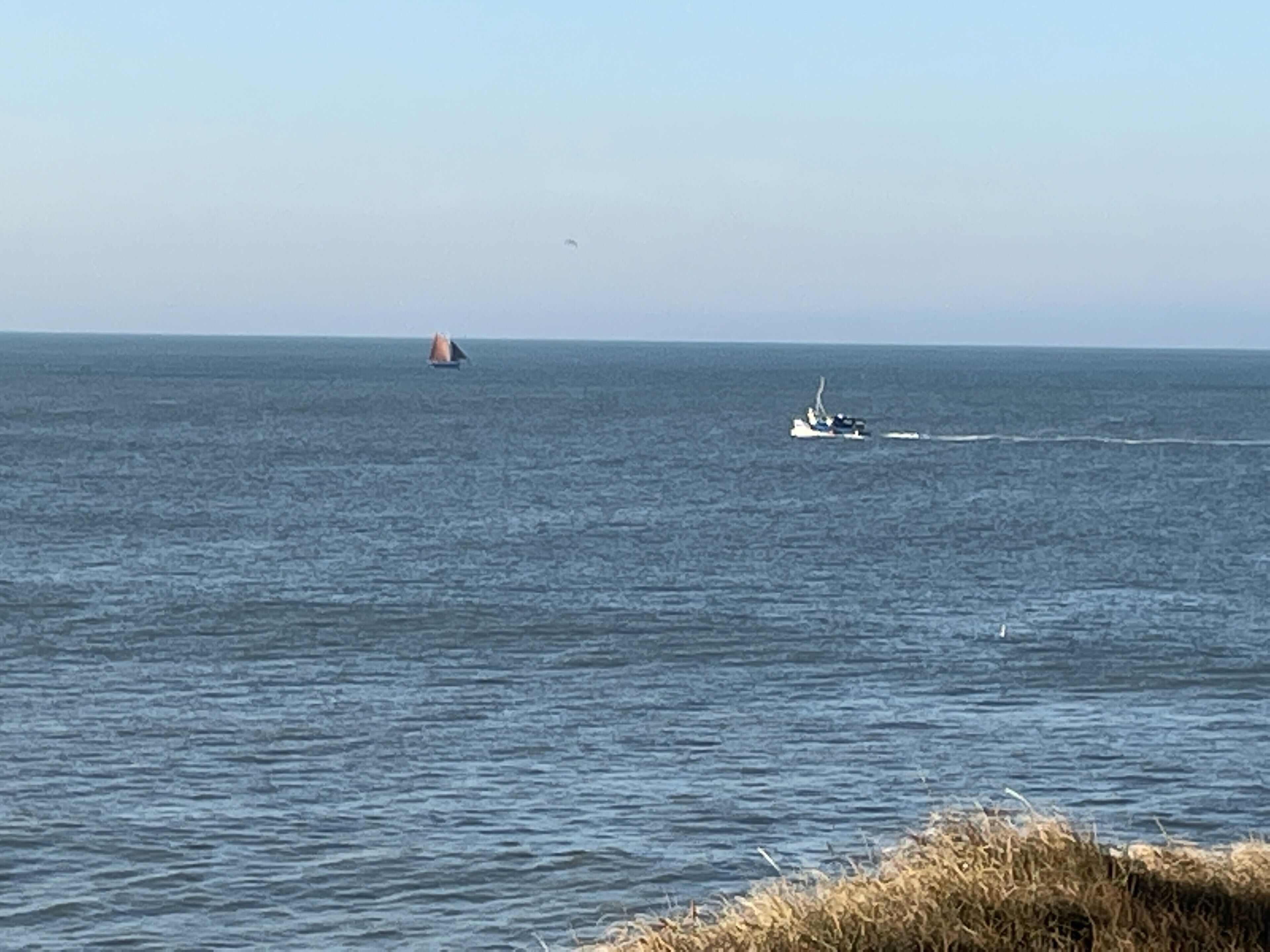A calm sea with a sailboat and a motorboat in the distance.