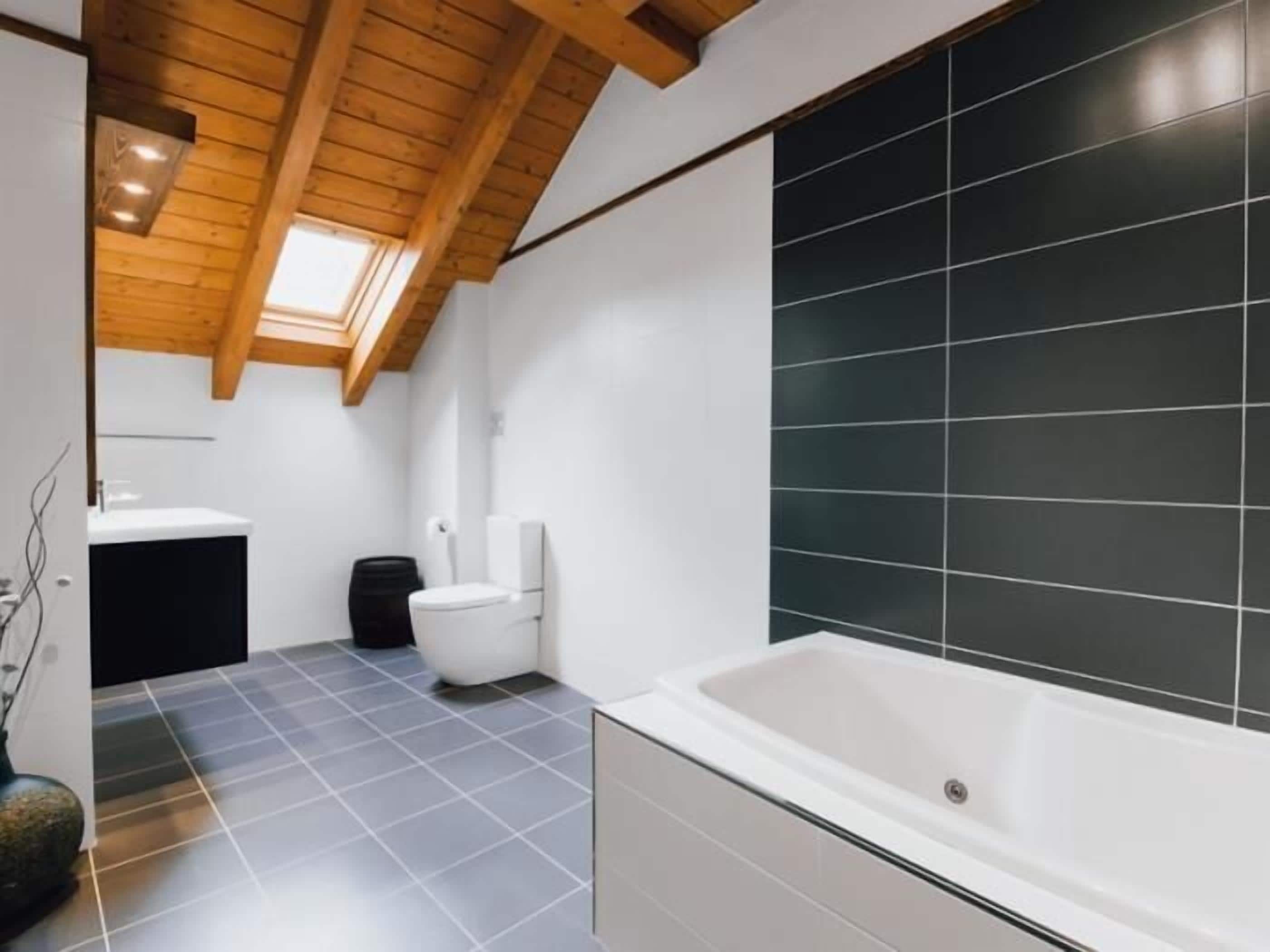 Shower, jetted tub, hair dryer