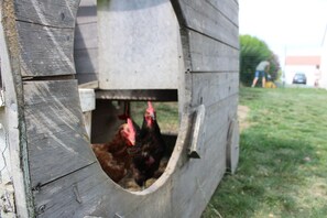 المنطقة المحيطة بالمنشأة