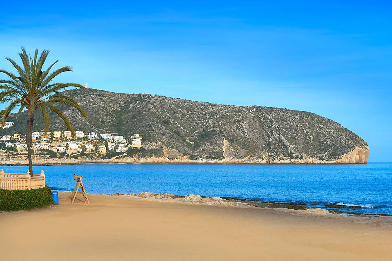 A beach with a palm tree, a wooden easel, and a rocky hillside with buildings in the background.
