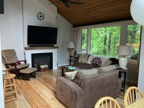 Smart TV, fireplace, books, stereo