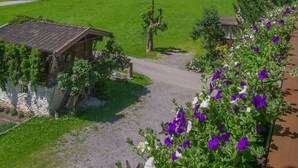 A mountain view with a wooden cabin, a gravel path, and purple flowers in the foreground. - 110m² vacation apartment in a quiet location in the wild and romantic Zillertal valley (Mayrhofen)