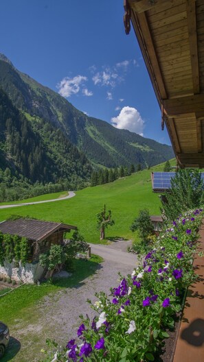 Une vue sur la montagne avec un chalet en bois, un chemin de gravier et des fleurs violettes au premier plan.