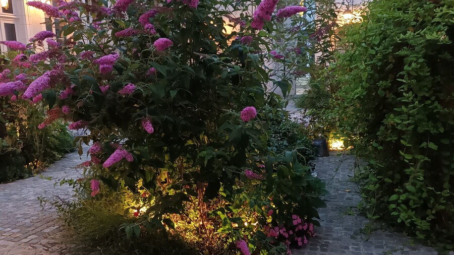 ホテル ロイゼル ル ゴーシャ