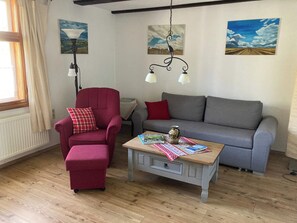 TV, fireplace, books