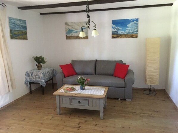 TV, fireplace, books