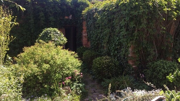 En have med en stensti, frodig vegetation og en murstruktur delvist dækket af slyngplanter.