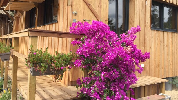 Une cabane en bois dotée d’une terrasse en bois, d’une fenêtre et d’un balcon.