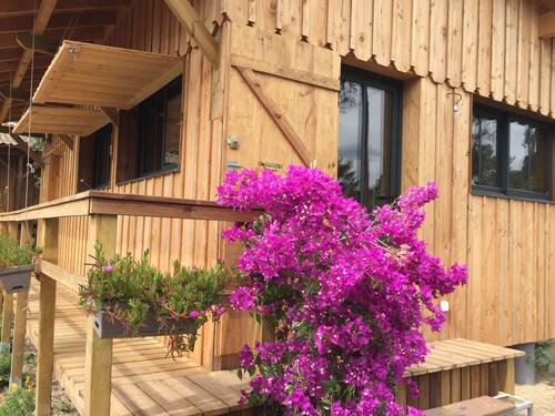NEW ! Ocean hut at Montalivet Plage
