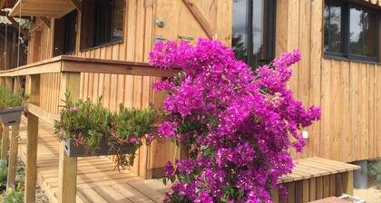 NEW ! Ocean hut at Montalivet Plage