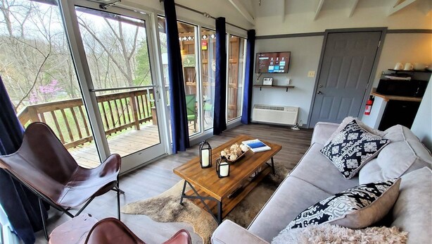 Flat-screen TV, fireplace, DVD player - Rita`s_rapids (Stanley)