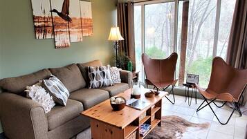 Flat-screen TV, fireplace, DVD player