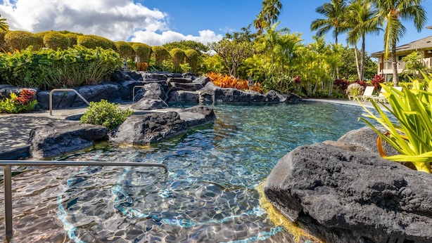 A clear pool with rock formations, surrounded by tropical plants and palm trees. - Luxury Zen Polynesian Penthouse (Waikoloa Resort)