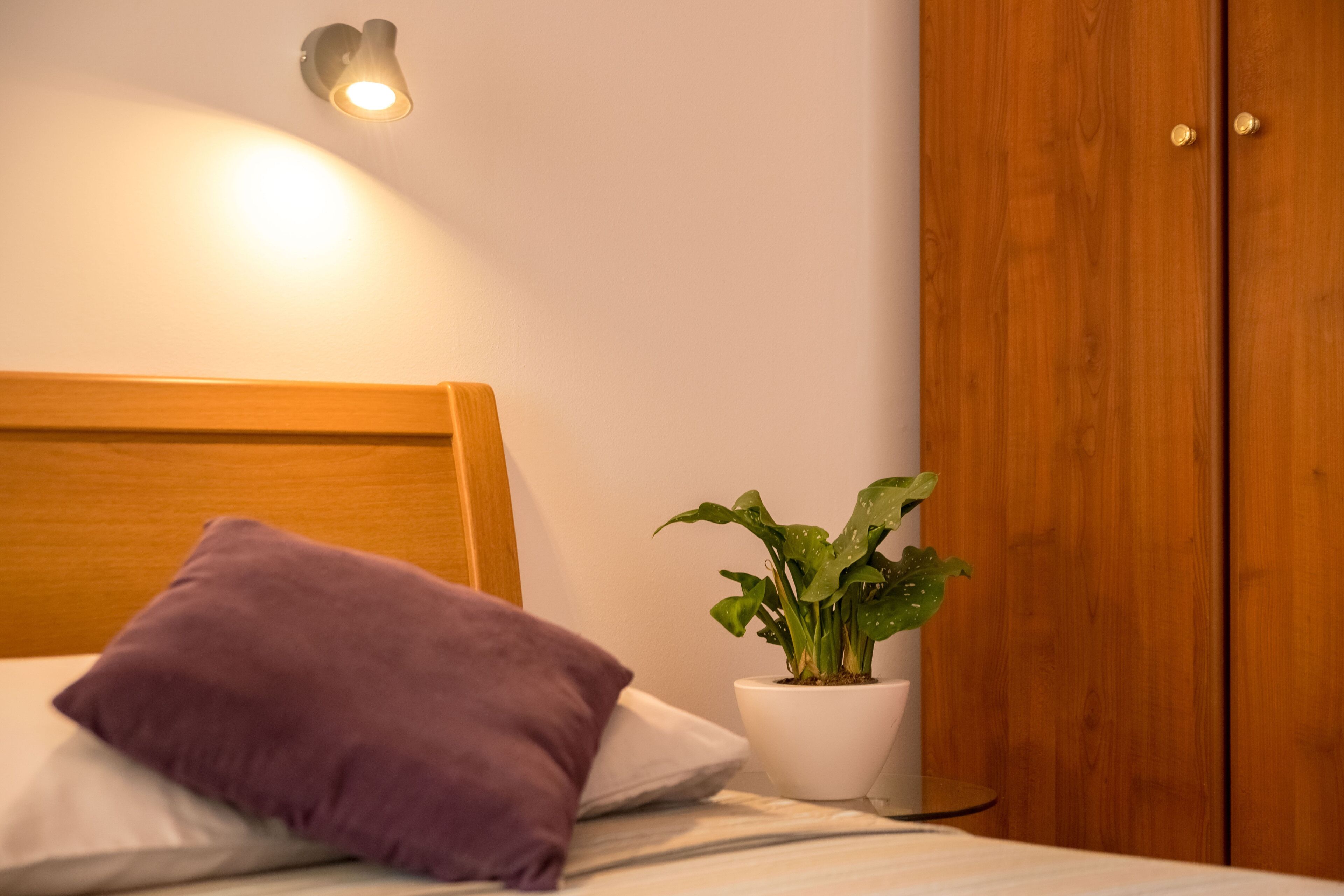 Ein ordentlich bezogenes Bett mit einem violetten Kissen und einer Blumentopf-Pflanze daneben.