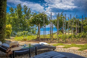 A garden with a seating area, a glass table with a drink, and a view of a vineyard.