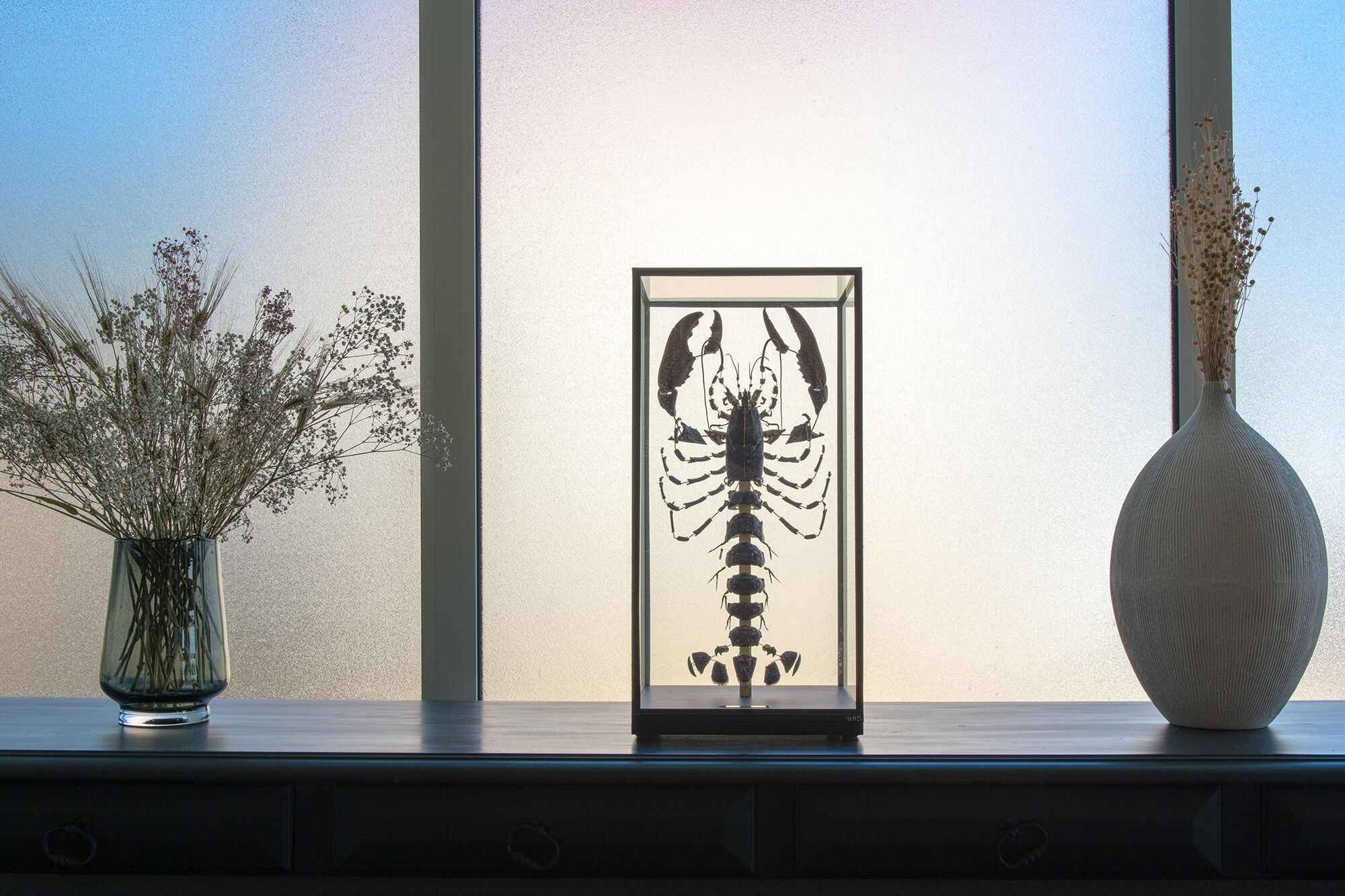 A window sill with a framed insect specimen, a vase with dried flowers, and a vase with green stems.