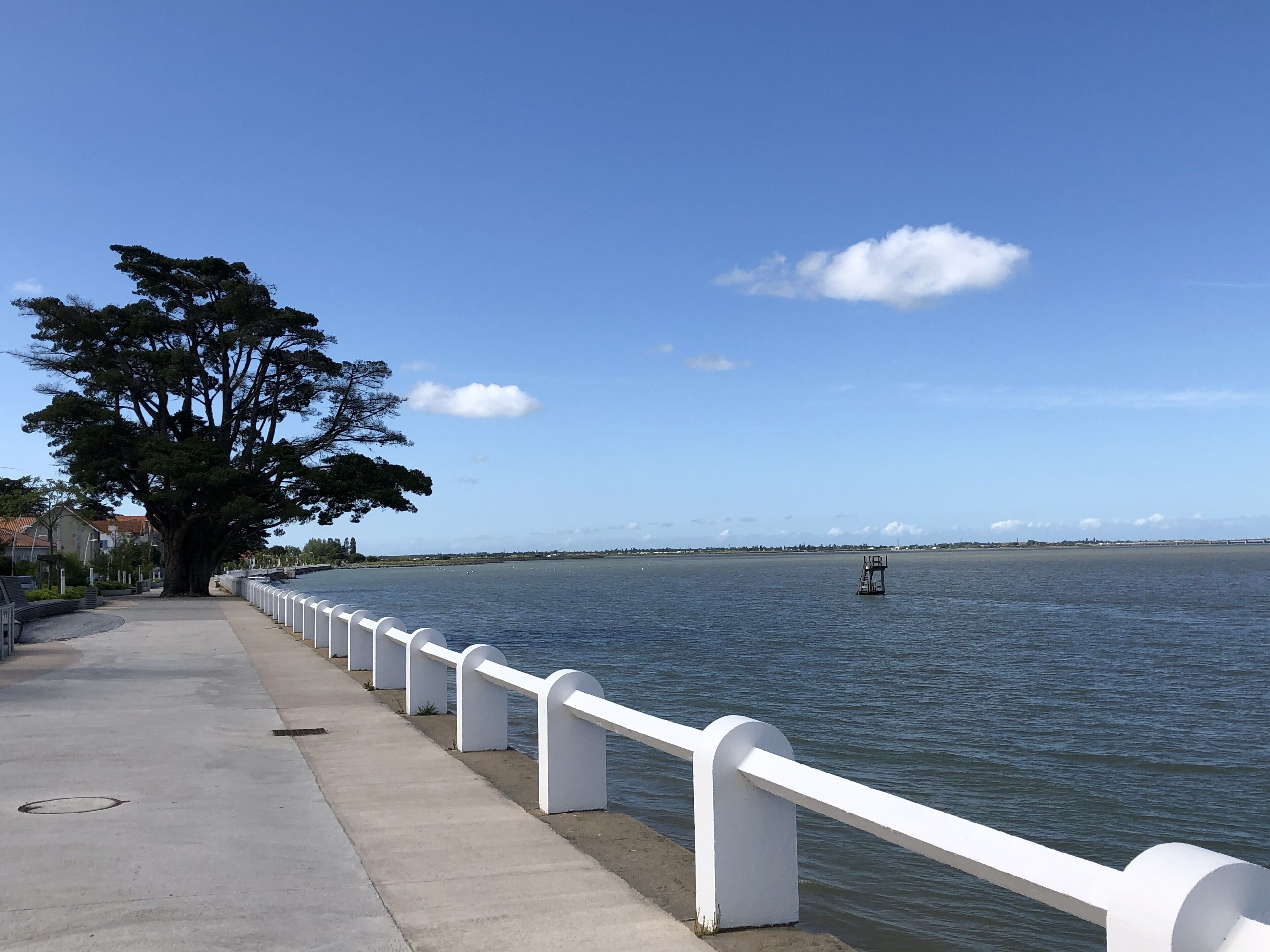 Une promenade en bord de mer avec une balustrade blanche, un grand arbre et un ciel bleu dégagé.