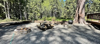 Lake Cushman Cabin with Private Access to Lake & Park