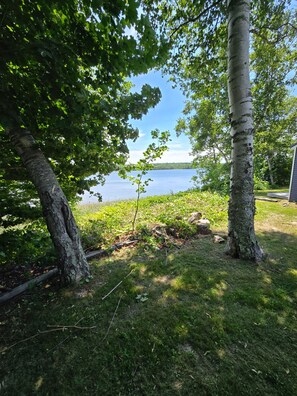 Une vue sur le lac, avec des arbres et une zone herbeuse.