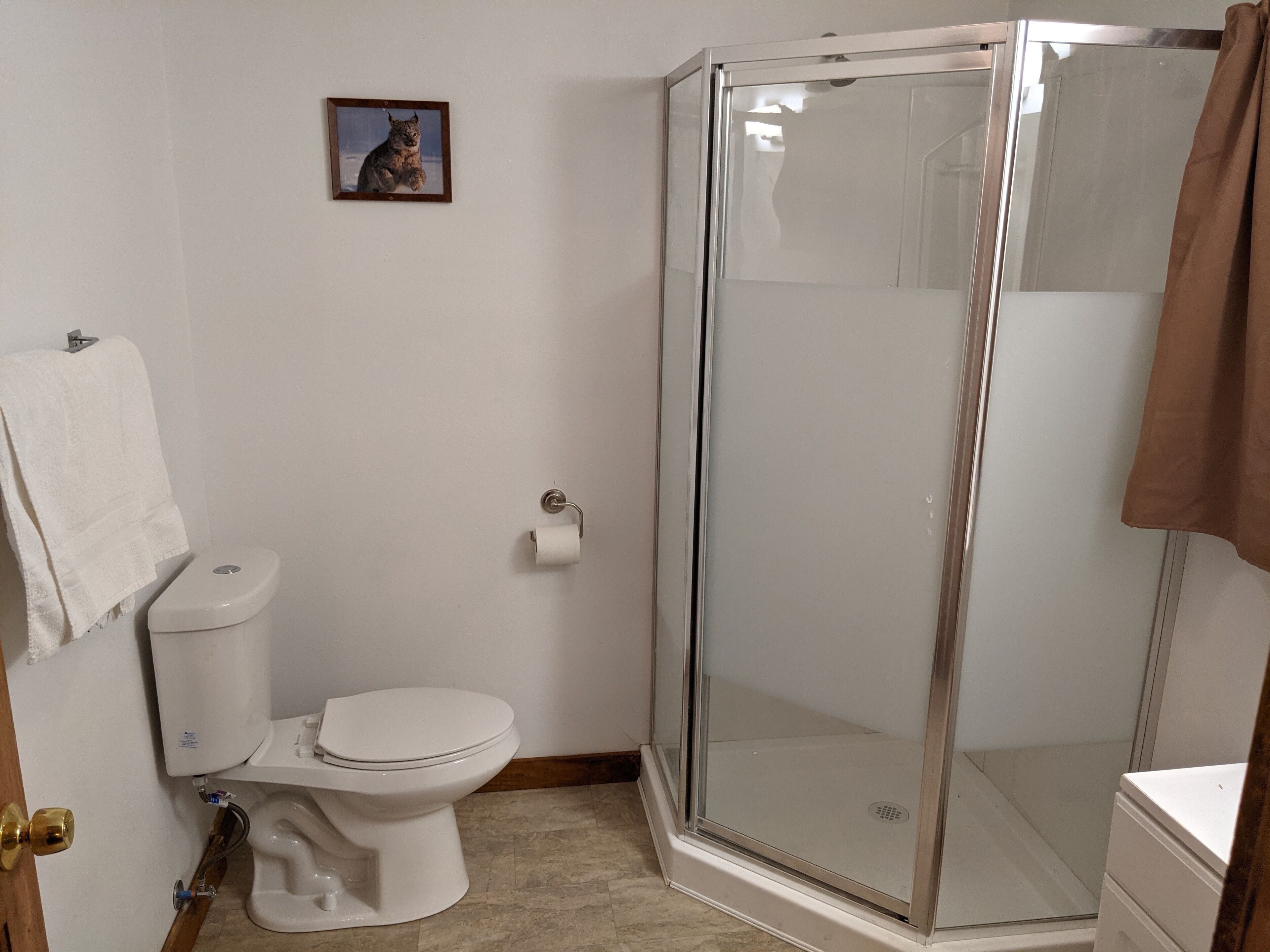A bathroom with a toilet, a glass shower enclosure, a towel rack, and a framed picture on the wall.