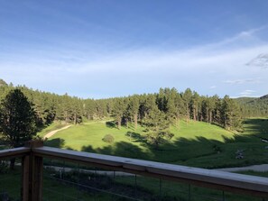 Property grounds - Custer Area Retreat on 40 Acres: Hot Tub, Fire Pit, Trails & Views (Custer)
