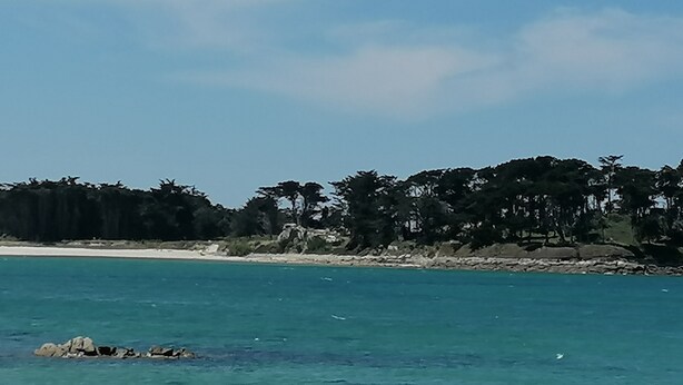 A coastal landscape with a beach, clear turquoise water, and a line of trees in the background. - Nice renovated apartment at the beach, thalasso (Roscoff)