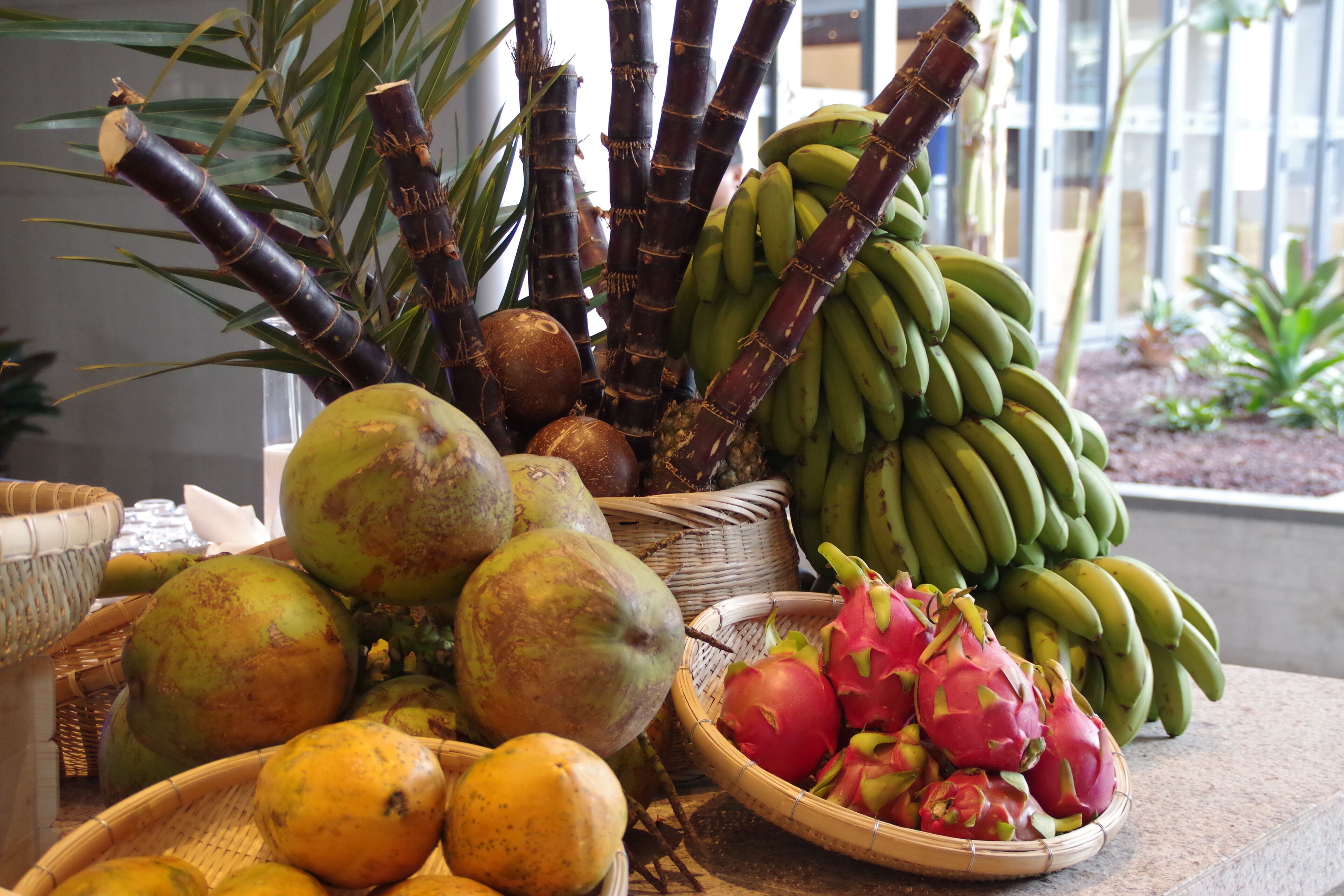 Una mesa con varias frutas, como plátanos, pitahaya y cocos.