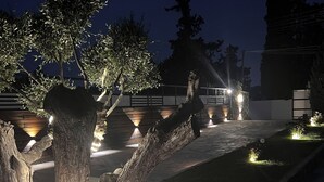 Un espacio al aire libre iluminado de noche, con árboles y un camino.