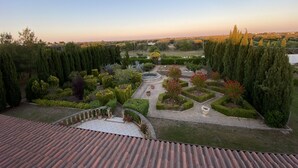 Een tuin met diverse planten en een fontein.