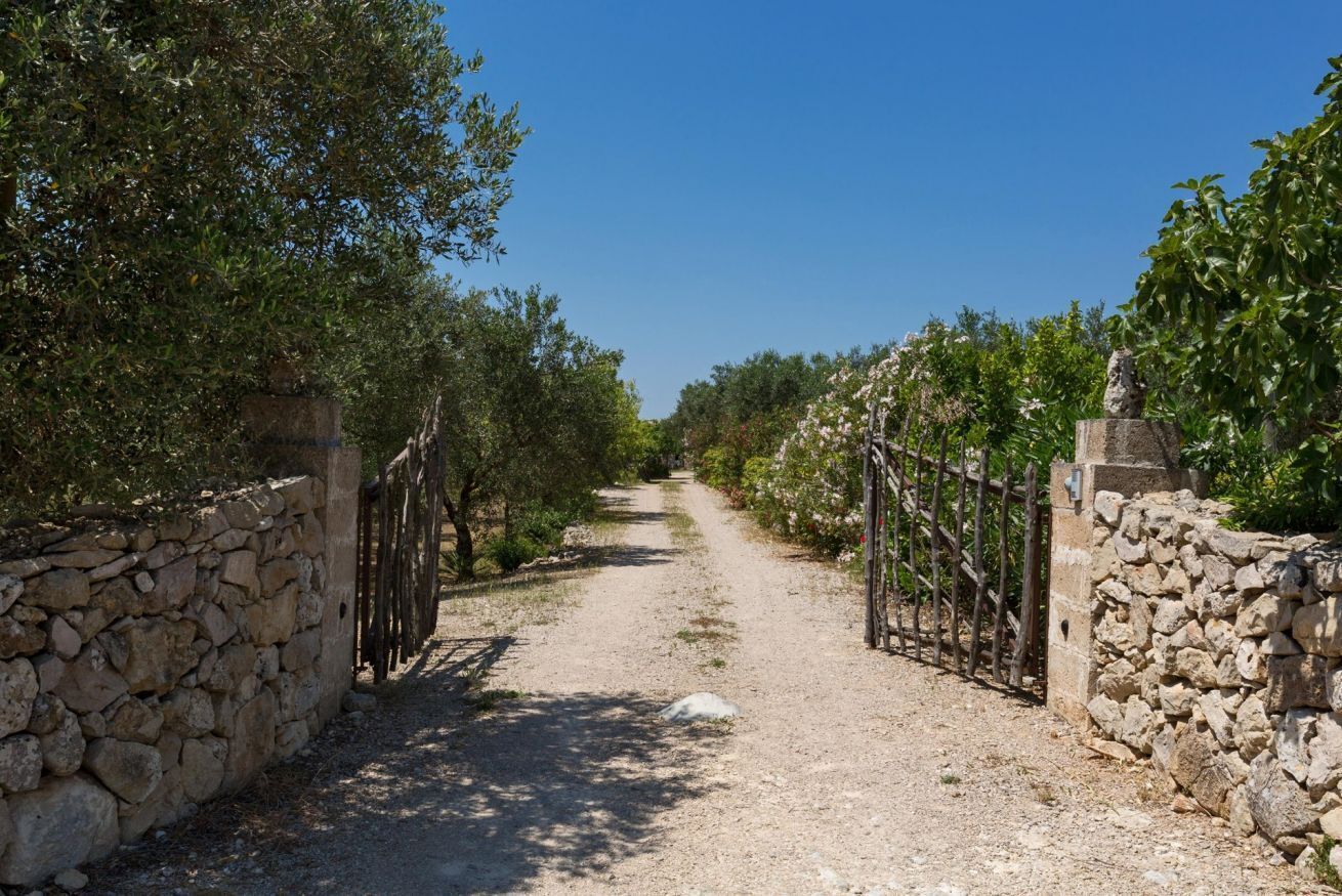 A gravel path flanked by stone walls and metal gates, leading through an olive grove.