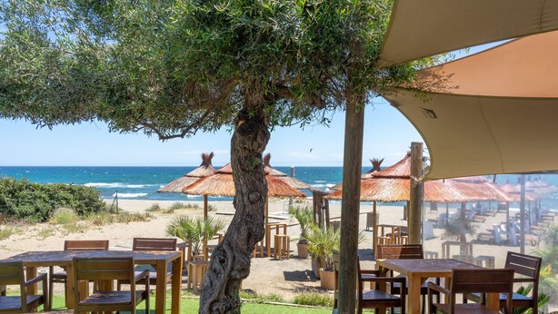 Zona d'estar a l'aire lliure amb taules i caires de fusta, envoltada per un arbre gran i ombrel·les de platja.