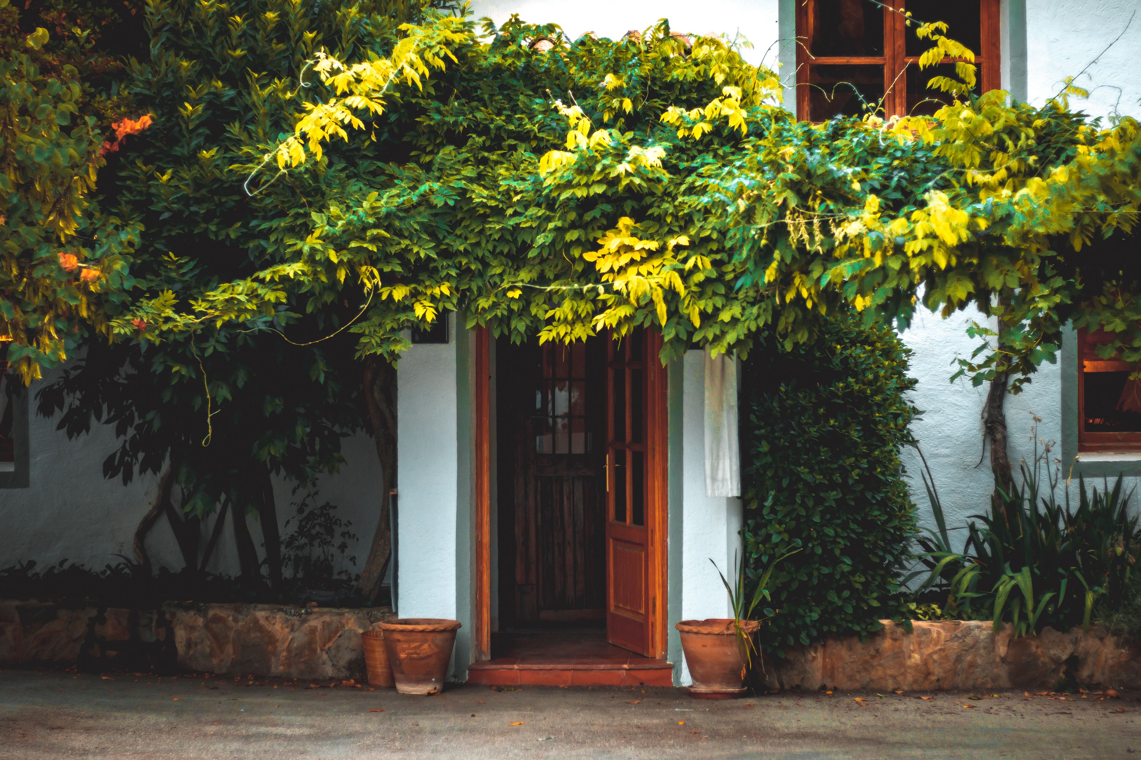 Front of property