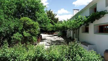 Un patio estrecho con abundante vegetación, un camino y un edificio de fachada blanca y detalles verdes.