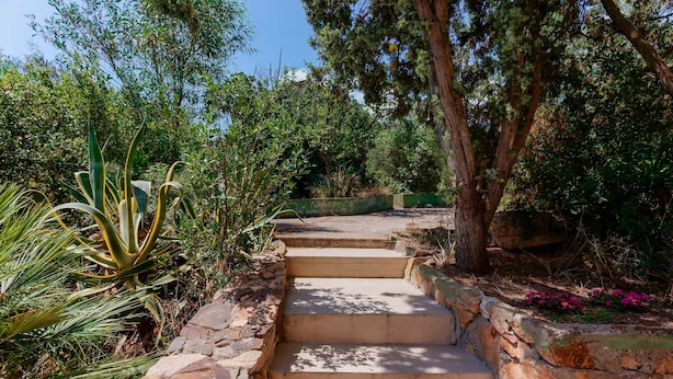Una escalera de piedra rodeada de abundante vegetación y árboles.