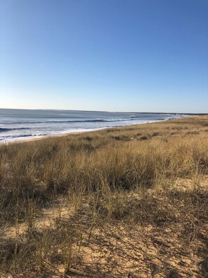 Beach - Villa Suzanne terrace and veranda near the beach (Longeville-sur-Mer)