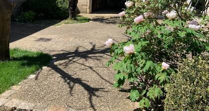 Apartment in the city center - Beaune