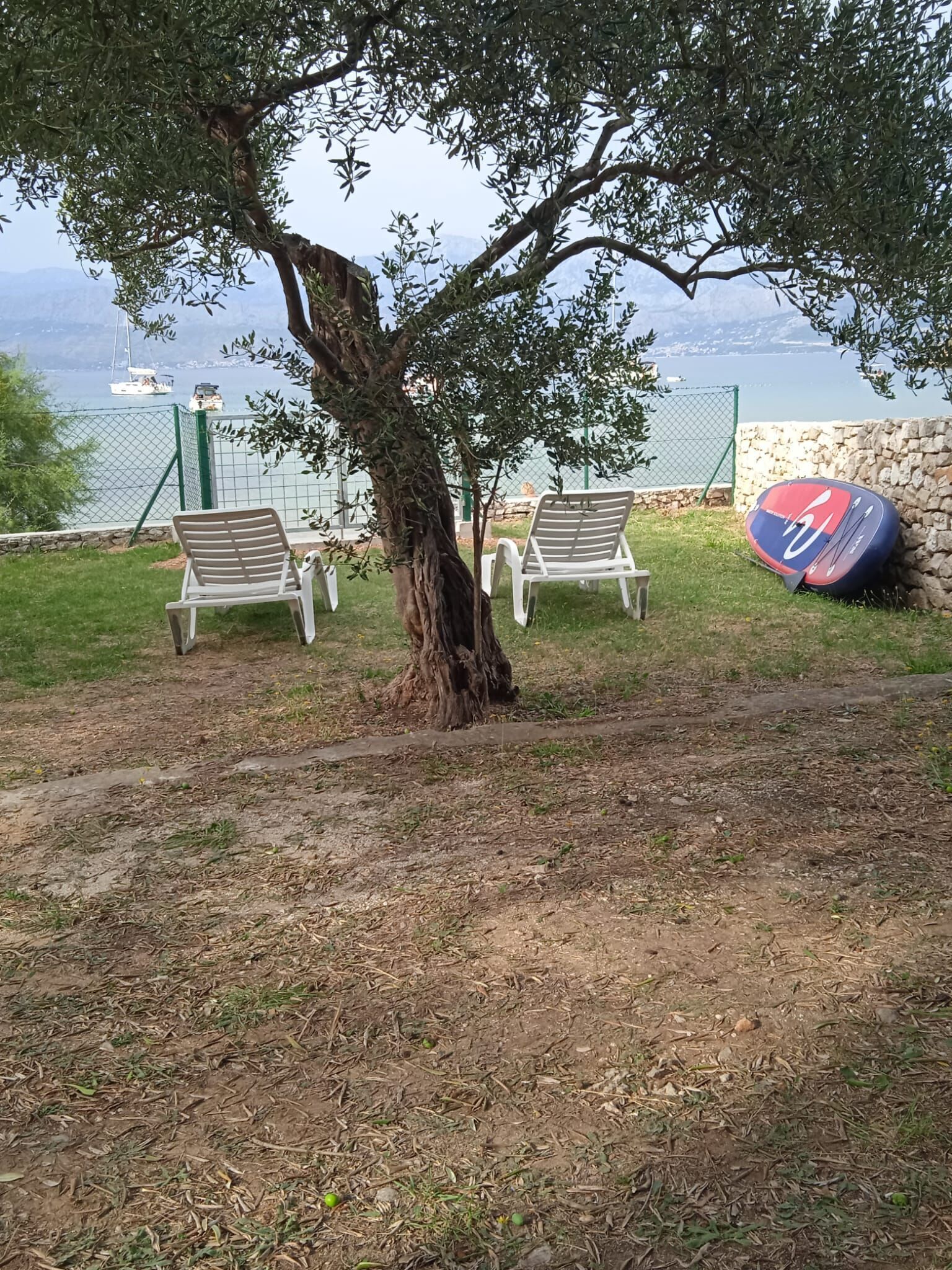 Huis | Terrein van de accommodatie