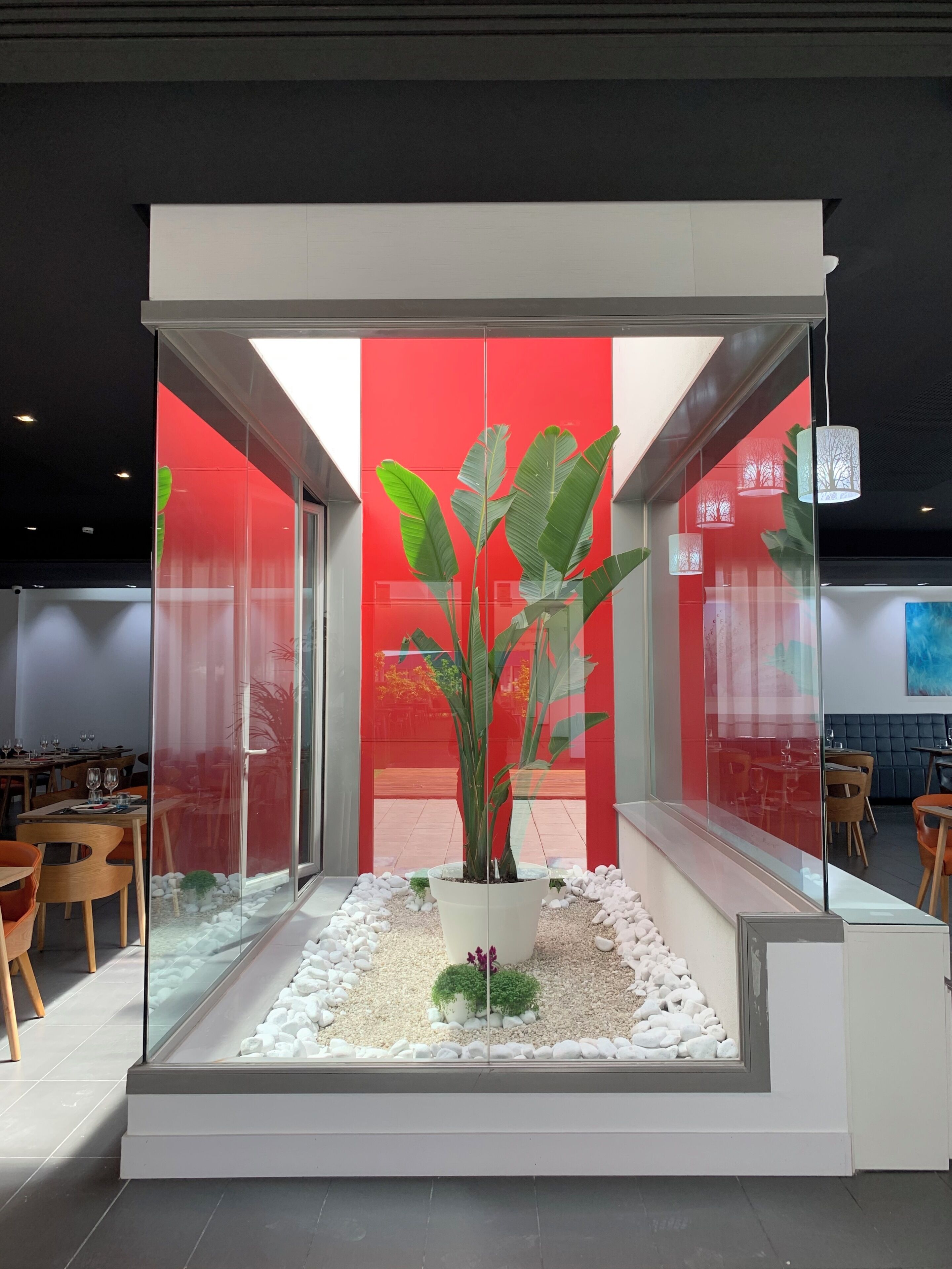 Un espacio interior moderno con un cerramiento de vidrio que contiene una planta en maceta, piedras blancas y una zona de estar con sillas de madera.