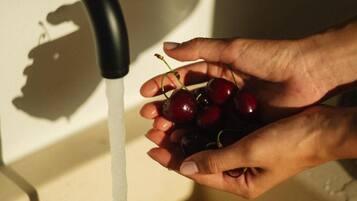 Dapur pribadi