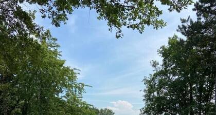 Villa above vineyards with swimming pool