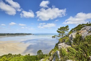 Beach nearby, sun-loungers