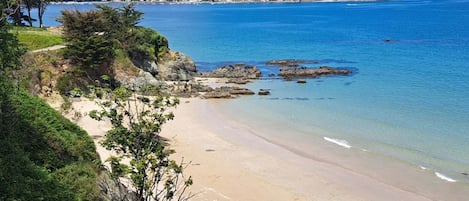 Playa en los alrededores y camastros