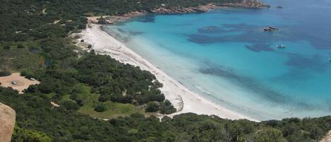 Beach nearby, sun loungers