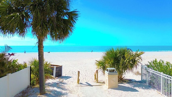 A beach with a clear blue sky, palm trees, and a sandy path leading to the water.